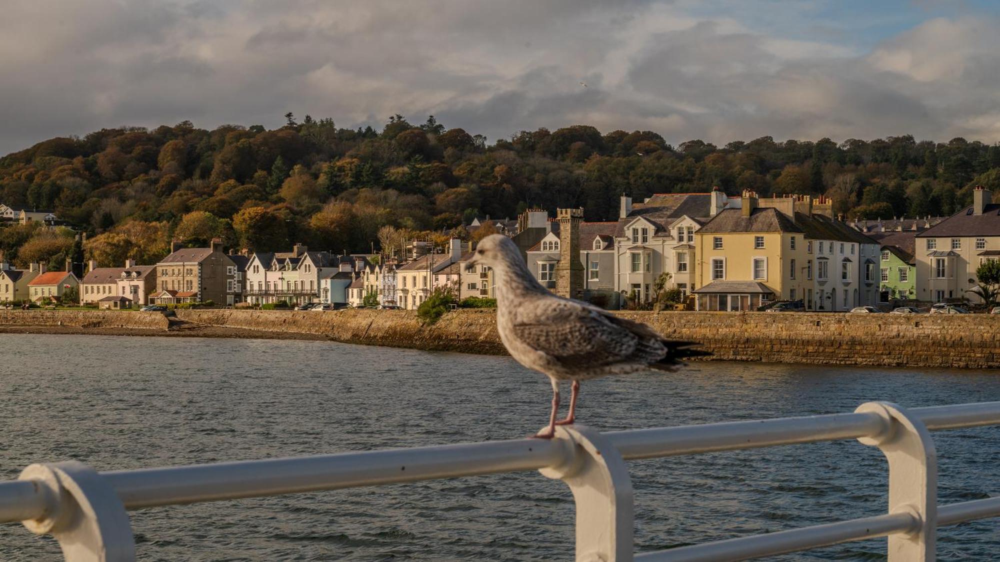 Castle Court Hotel Beaumaris Luaran gambar